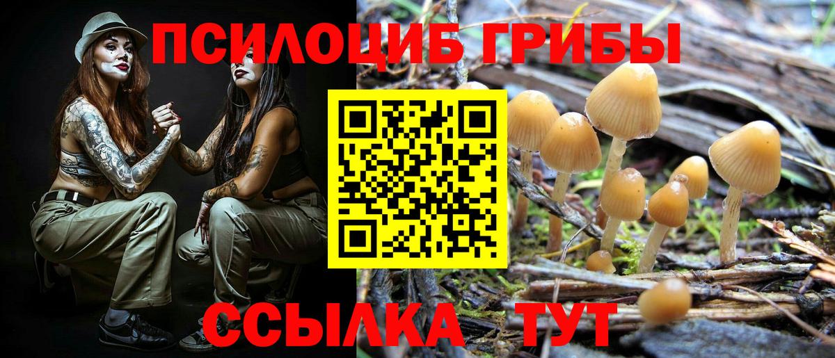 Галлюциногенные грибы Magic Shrooms Камышин